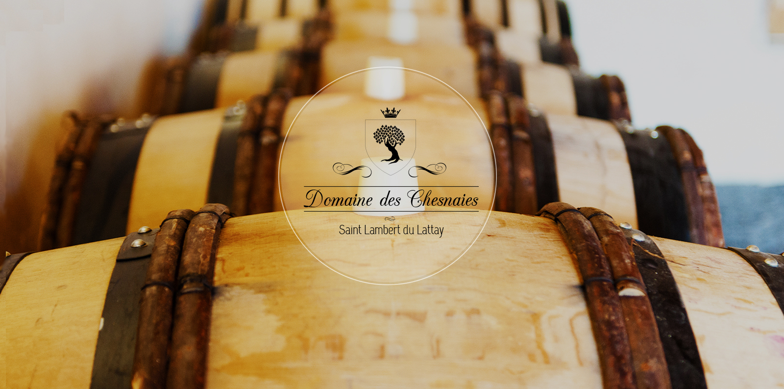 Découvrez les vins du Domaine des Chesnaies, un des grands terroirs du Val de Loire